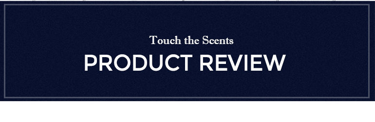 NEW CANDLE Yankee Candle Raja Pink Sand Warmer Bul