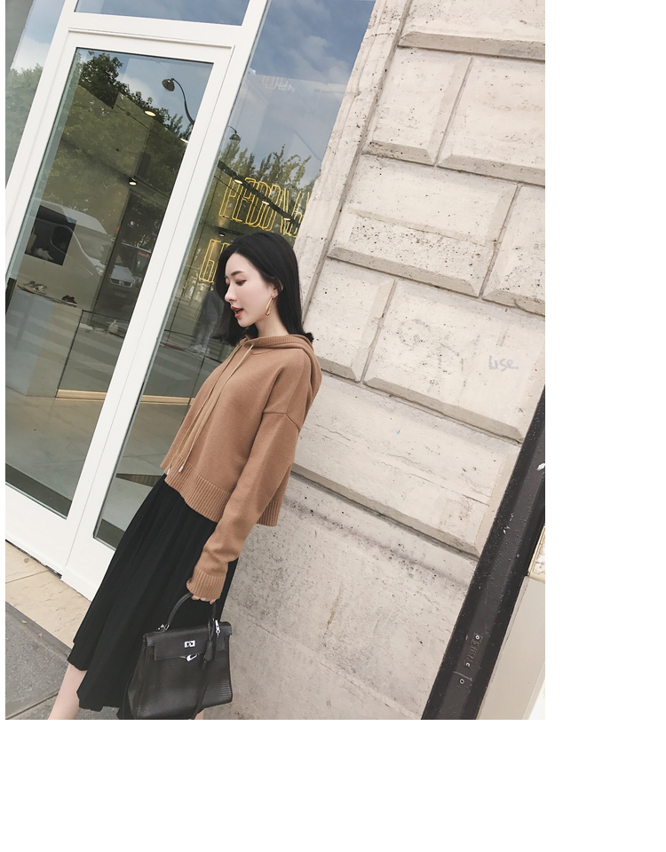 Mica La Fall Winter Pleated Knit Long Skirt Pleate