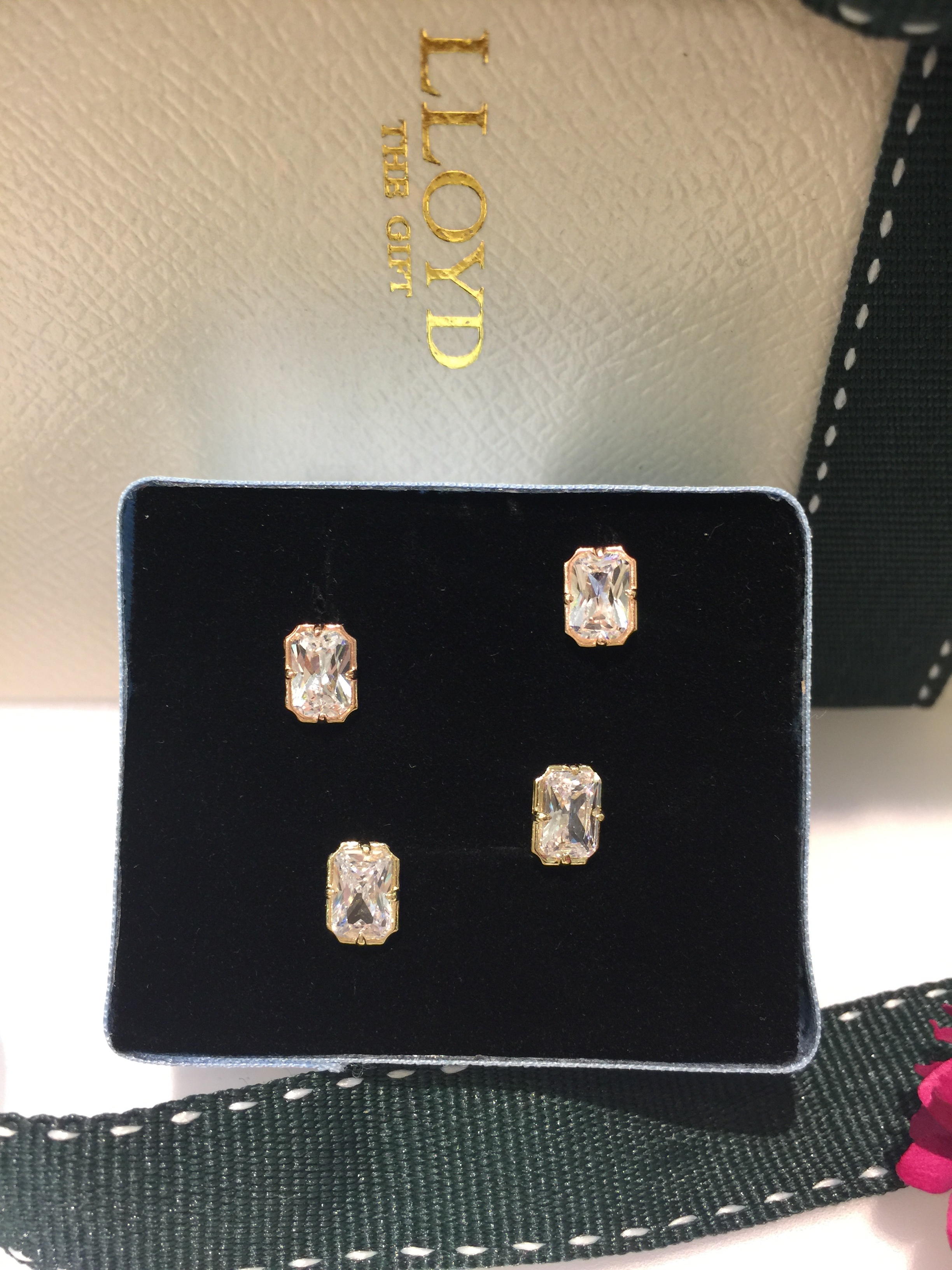 Lloyd's Emerald Cut Cubic Earrings LPTG1042 Mod