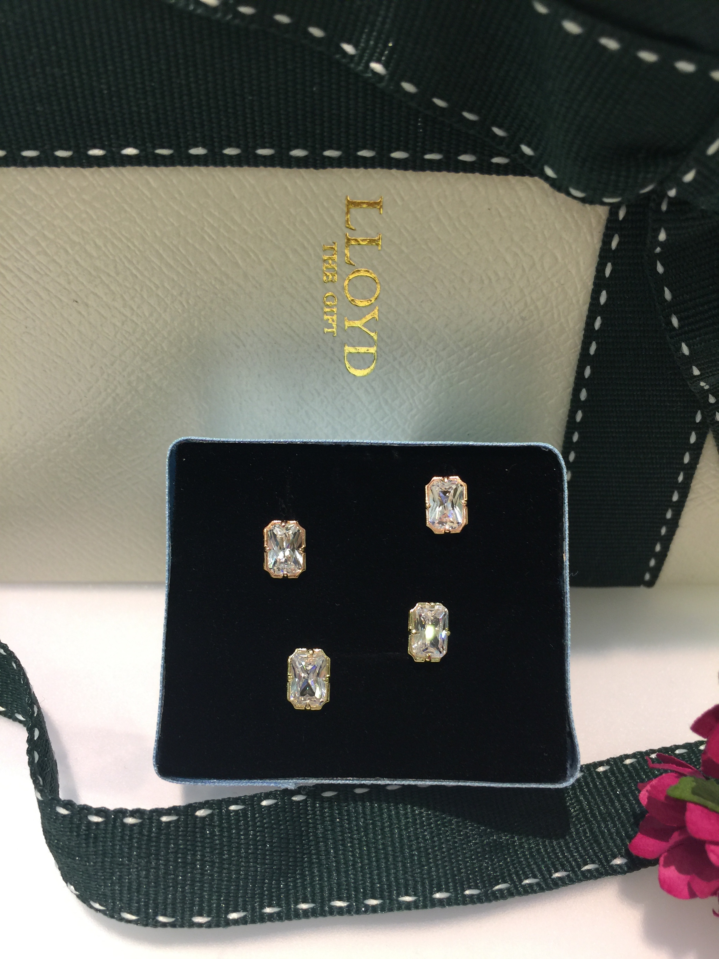 Lloyd's Emerald Cut Cubic Earrings LPTG1042 Mod