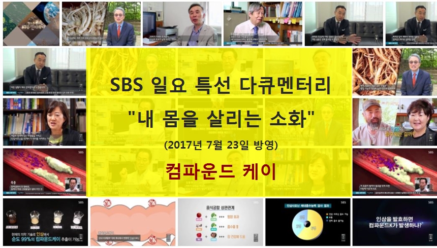 Korea Ginseng D &amp A CK Compound K Red Ginseng P