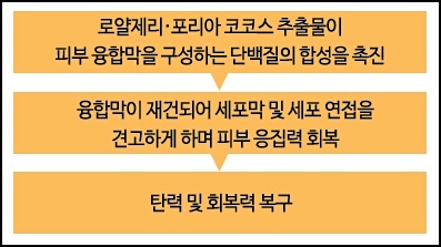 Special Composition Capuchin Royal Jelly Facial Am