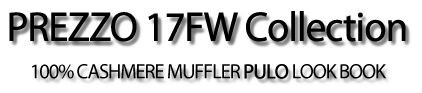 PREZZO 100 cashmere scarf PULO Edition Frames 100