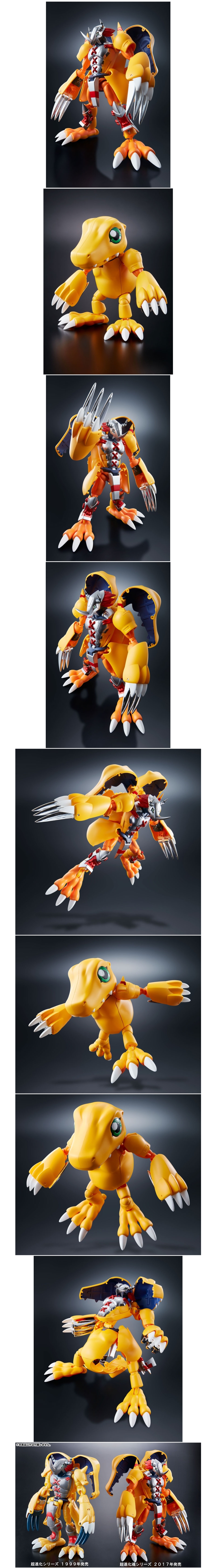 December 17, wearing the Digimon Adventure Bandai 