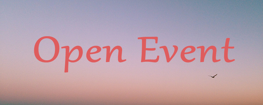 Chain Zigzag Twig Crystal Earring Taidy Girl Gift 