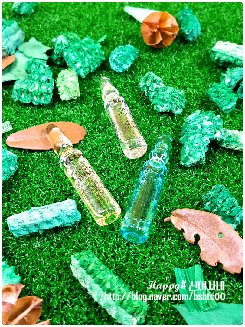 Clamp Ample 2 Box + Asafil Cream 30ml Regeneration