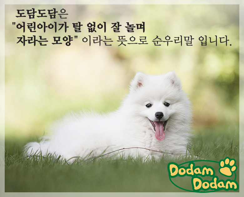 Dodam Dodam premium dog pads pad 47g × 6 pieces Sa