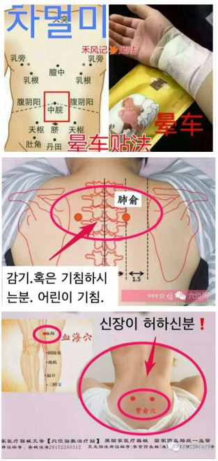 Dampness Patch Toxin Exhaustion Fatigue Recovery E