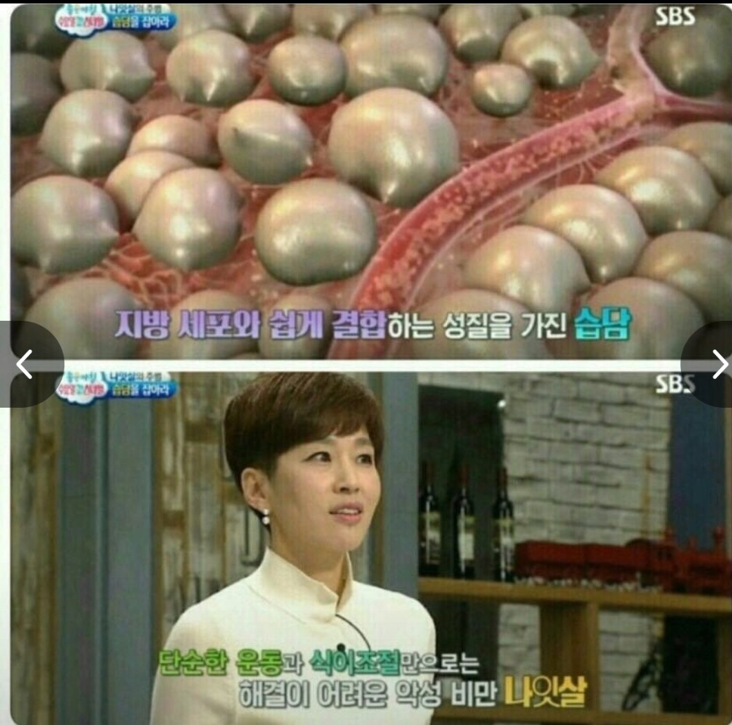 Dampness Patch Toxin Exhaustion Fatigue Recovery E