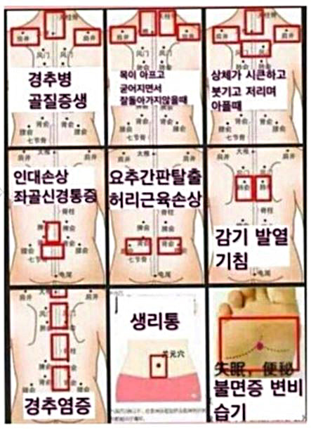 Dampness Patch Toxin Exhaustion Fatigue Recovery E