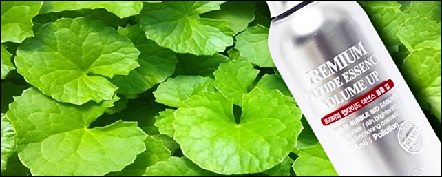 Macklin Genuine Premium Peptide Essence Volume Up 