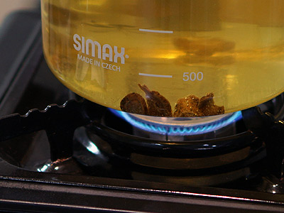 Shimax heat-resistant glass hot water pot 3L kettl