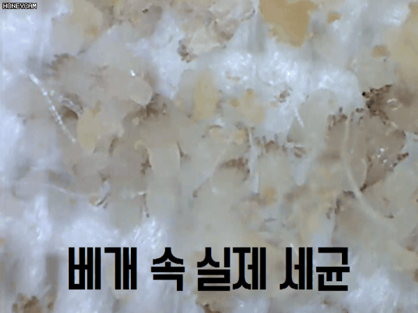 Cotton shower neck comfortable cervical pillow nec