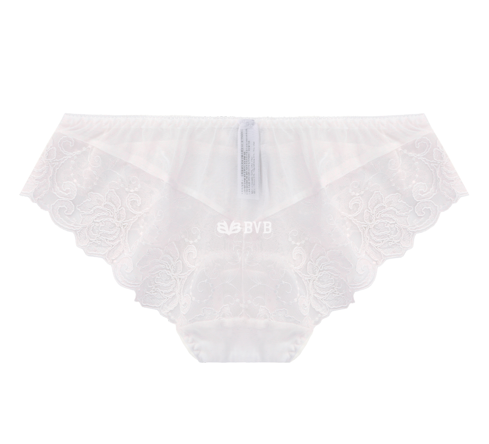 Ivory lace embroidery point bra panties set full o