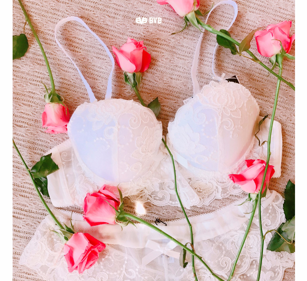 Ivory lace embroidery point bra panties set full o