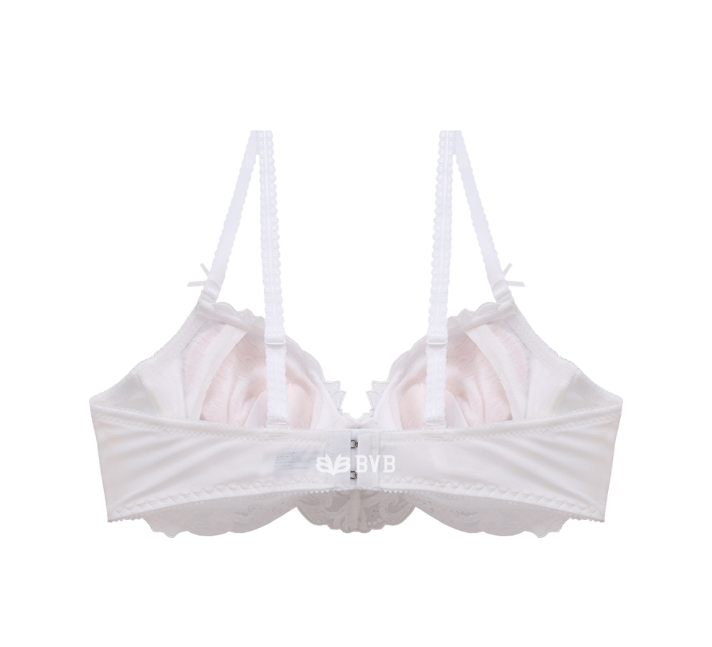 Ivory lace embroidery point bra panties set full o