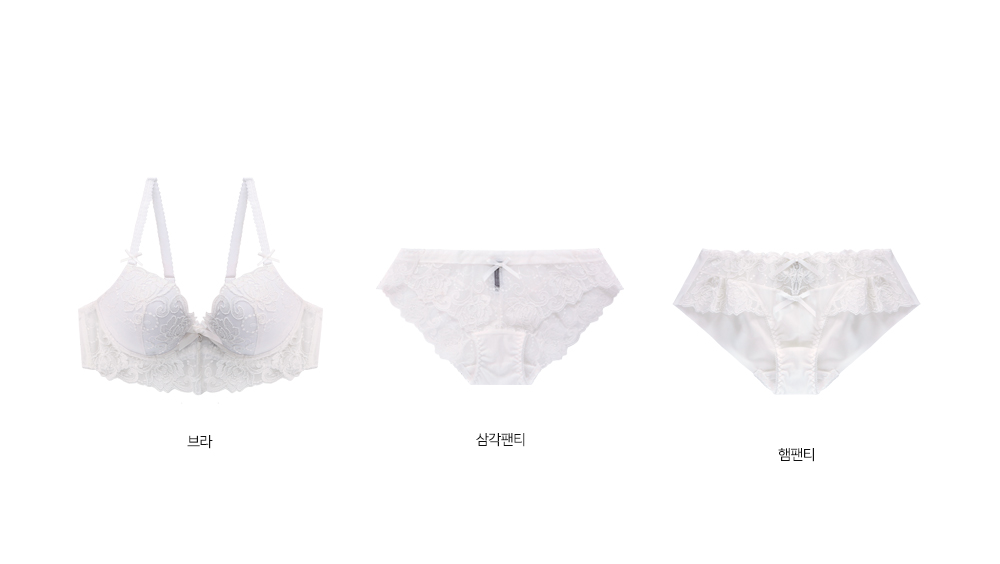 Ivory lace embroidery point bra panties set full o