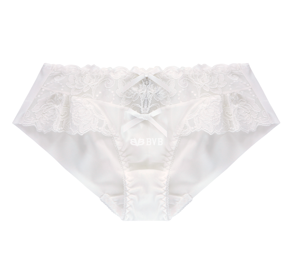 Ivory lace embroidery point bra panties set full o