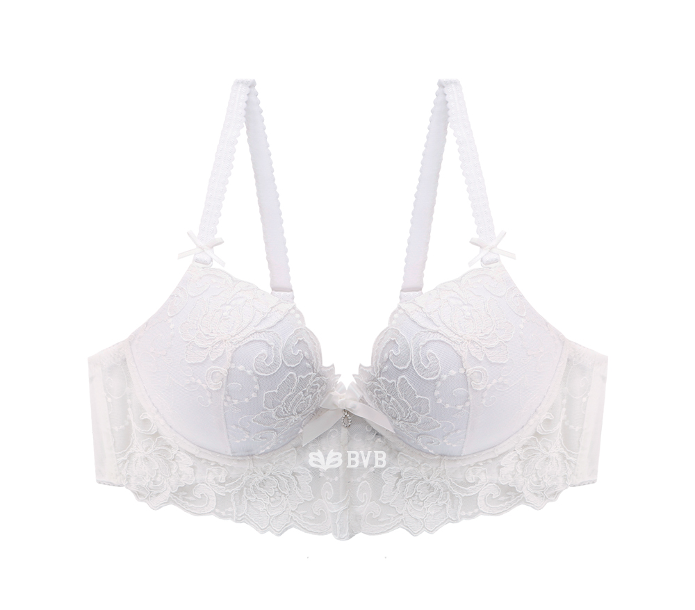 Ivory lace embroidery point bra panties set full o