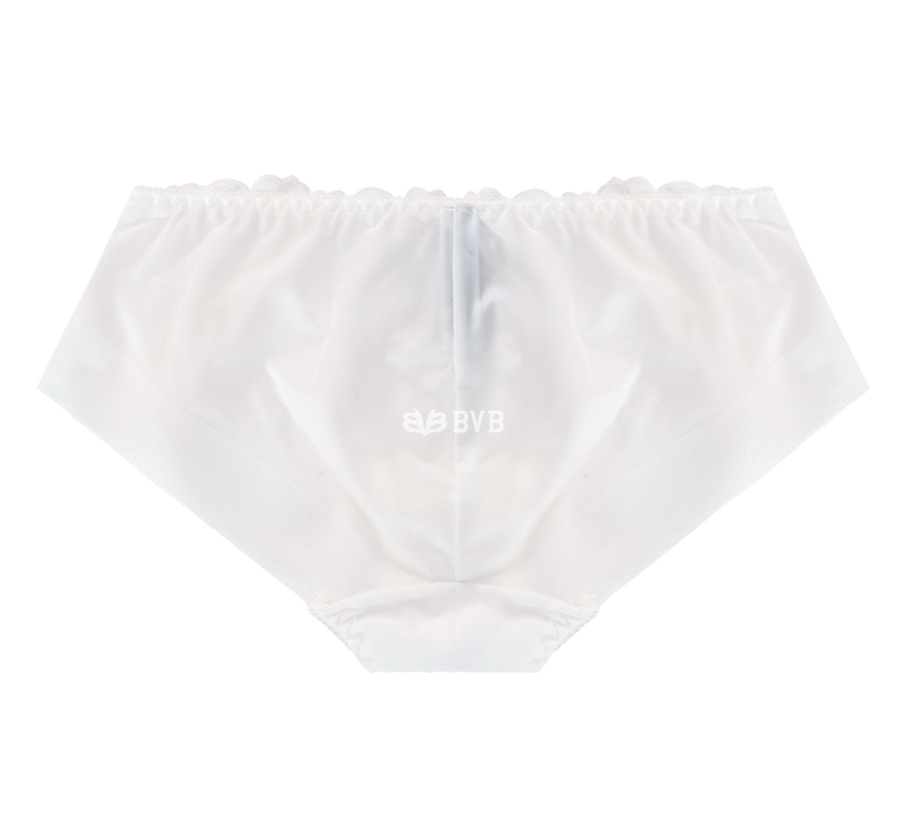 Ivory lace embroidery point bra panties set full o