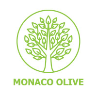 Scrubber Dish Washing Magic Shine Foam,