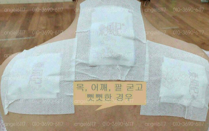 Dampness Patch Toxin Exhaustion Fatigue Recovery E
