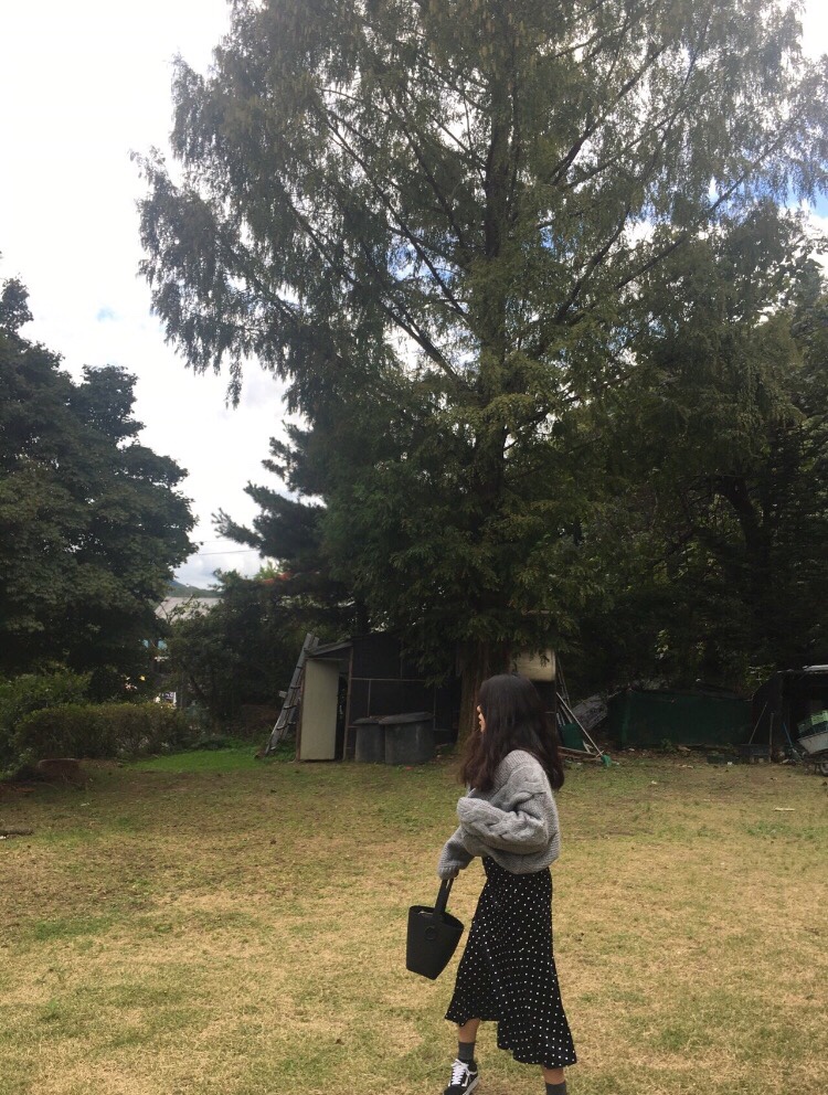 Velvet dot long skirt ajapdlemtmzjxm ajapdlemclak 