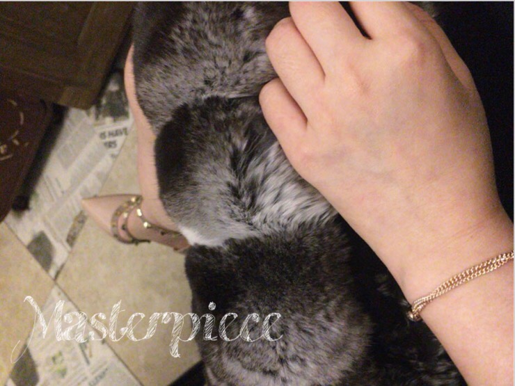 M Chinchilla muffler Black label Luxury look Luxur