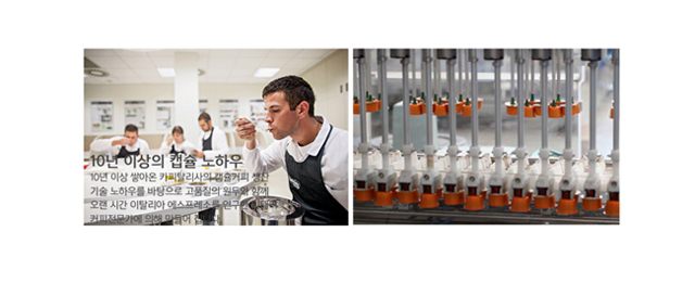 Nespresso Capsule Compatible Coffee 8 Garibaldi Fl