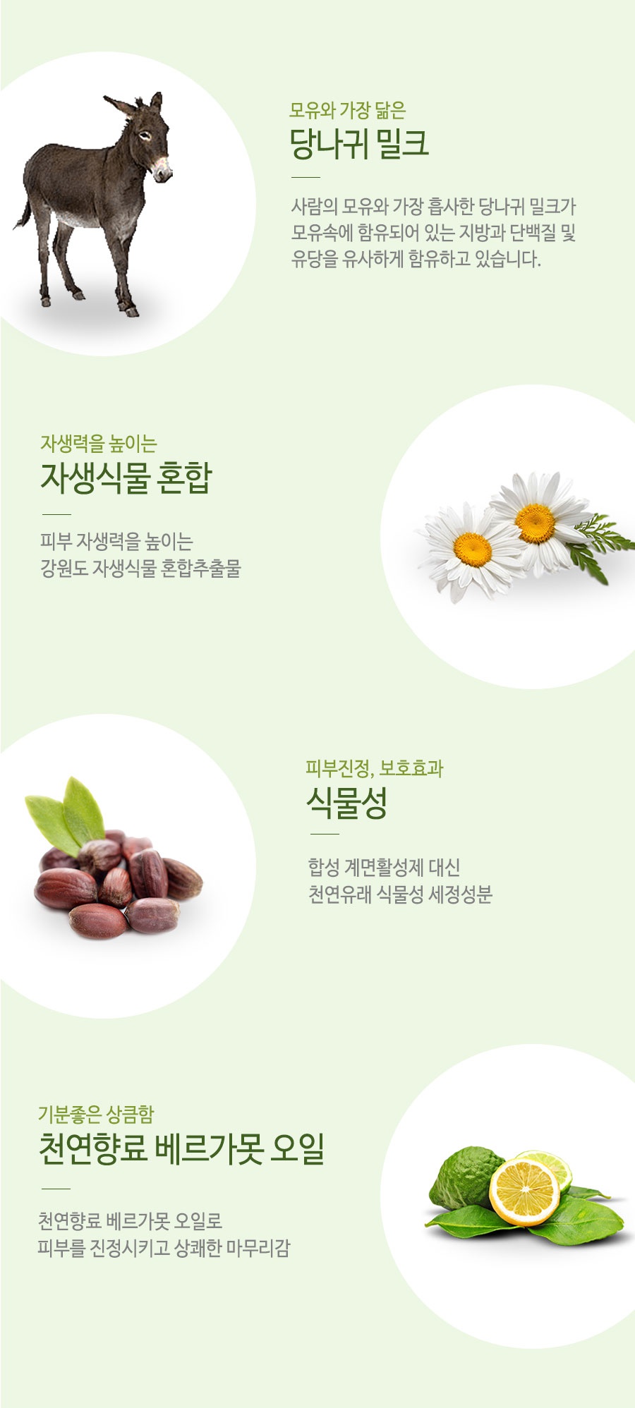 Doctor Donkey Baby Lotion Newborn Donkey Milk Ato 