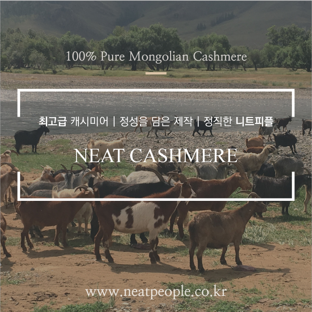 Mongolian Cashmere 100 Petit Shawl Muffler Seoul S