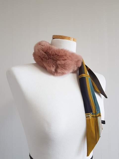 FREE Shipping. Rex Rabbit Whistle Willy Point Peti