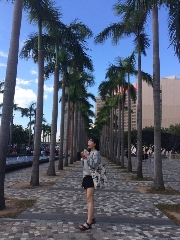 Noel De France Franc Eco Bag