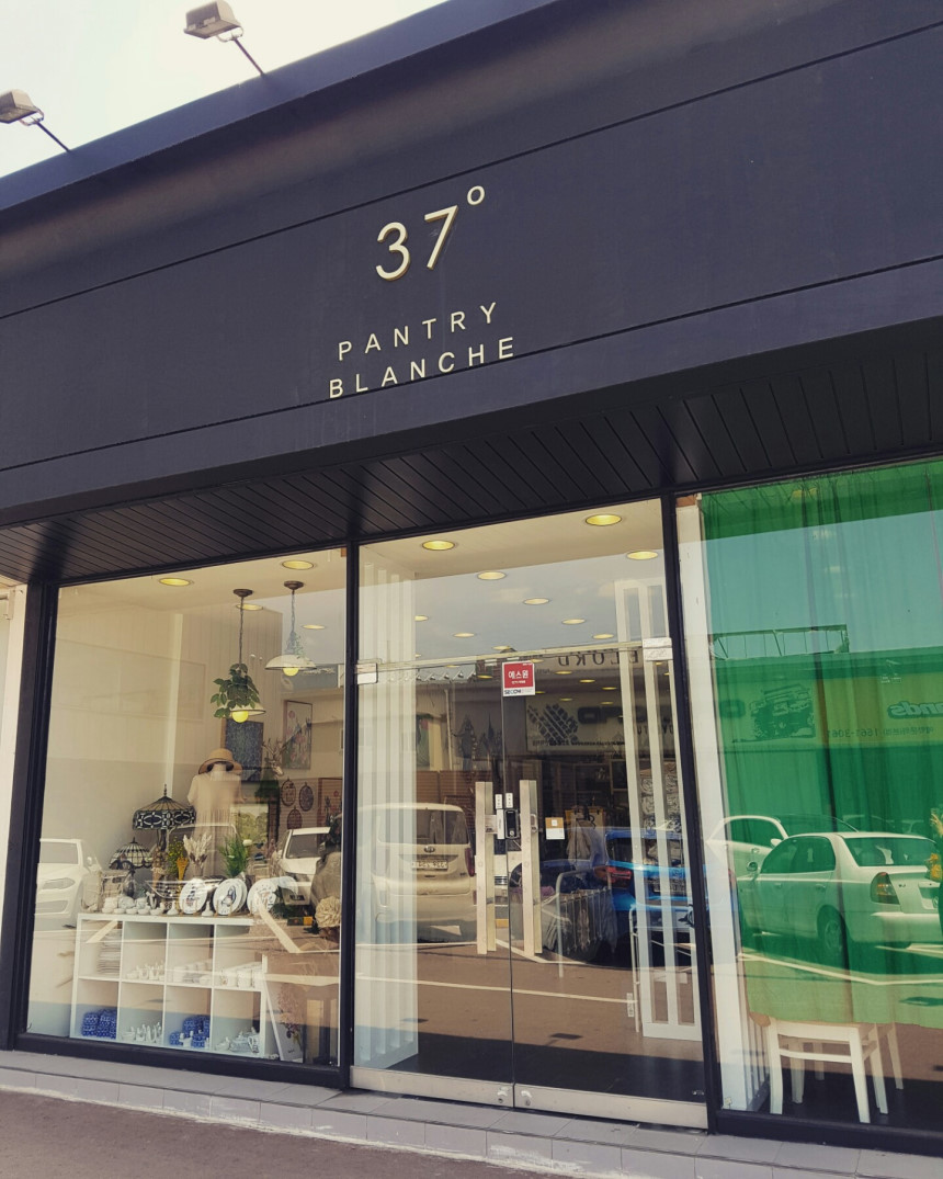 Blanche Dark brown Classic small stone Green tea p