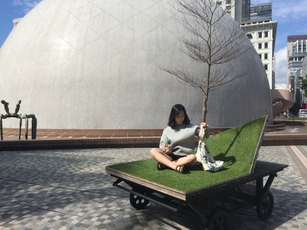 Noel De France Franc Eco Bag