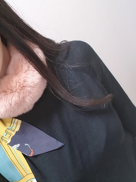 FREE Shipping. Rex Rabbit Whistle Willy Point Peti