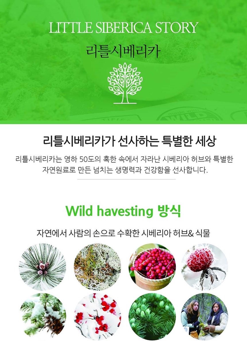 Little Siberian Car Moisture Milk Baby Lotion 250m