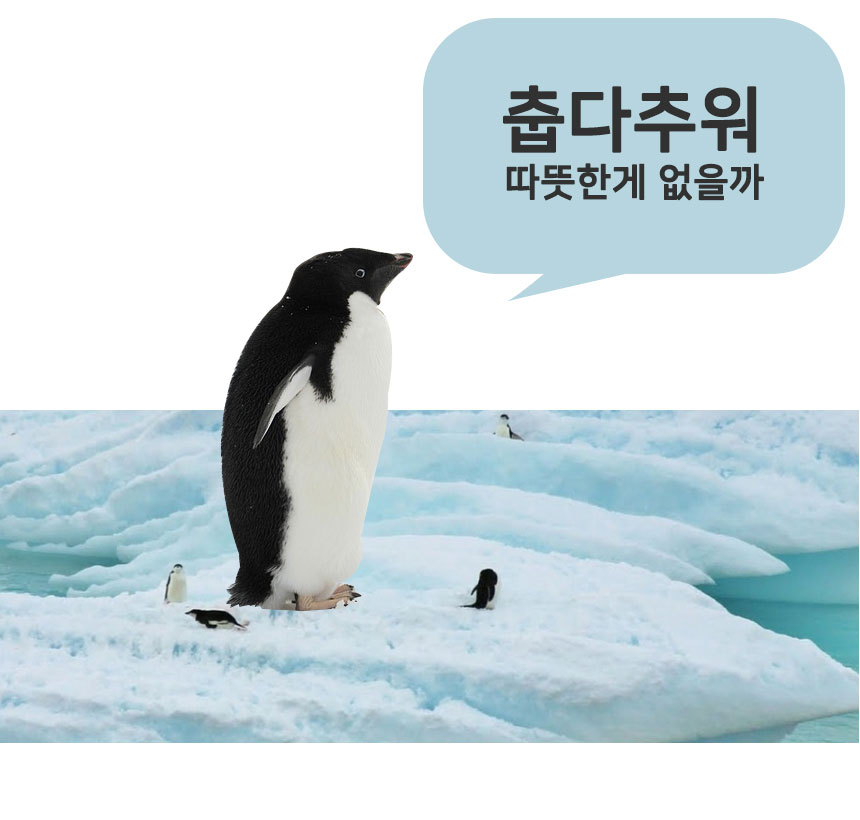 Daily insulation kettle water bottle 1L 1.5L milk 