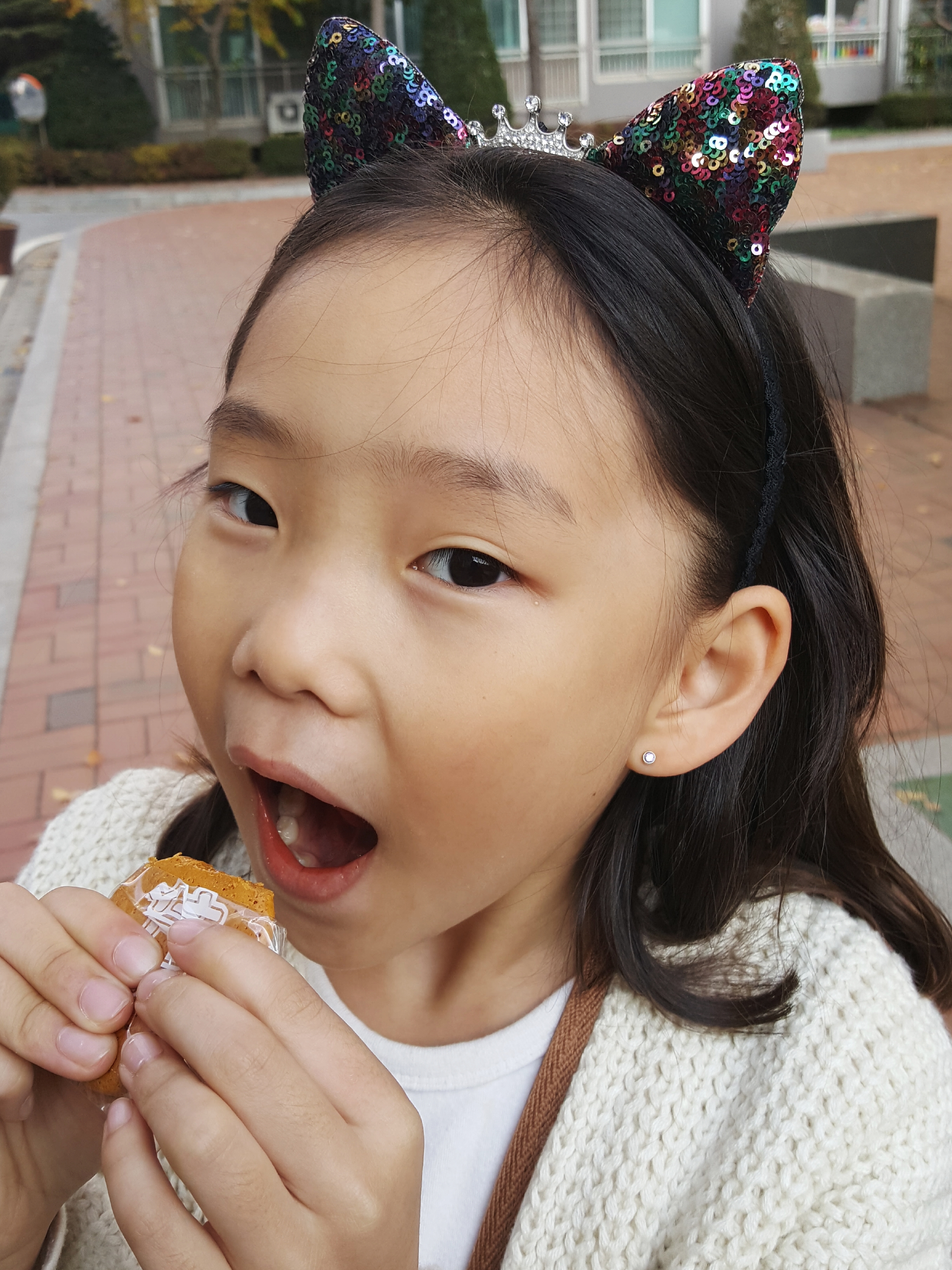 Hair Accessories Sequins Cat Hair Band