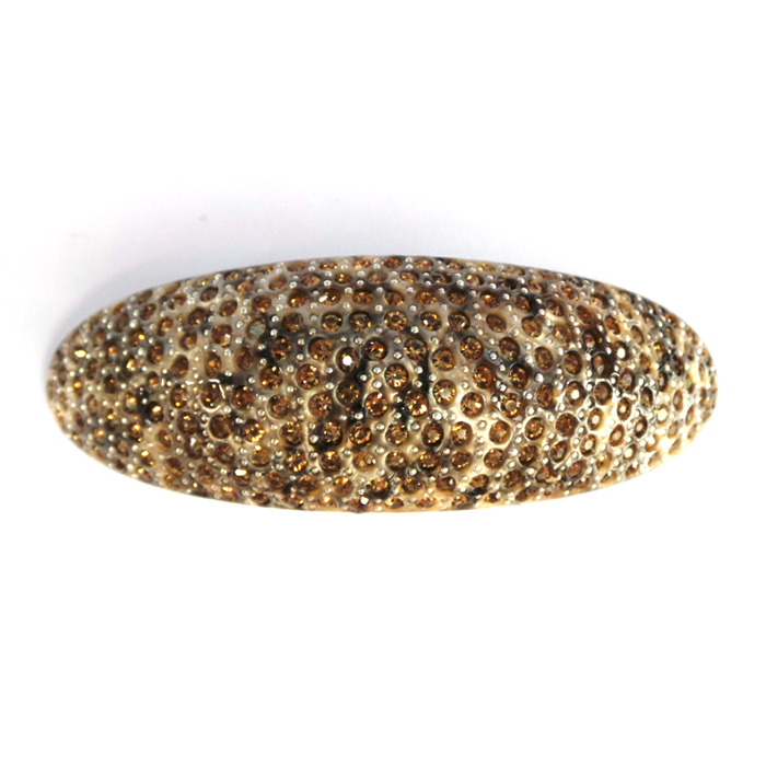 Hair Accessories Curved Ellipse Imported Auto Pin 