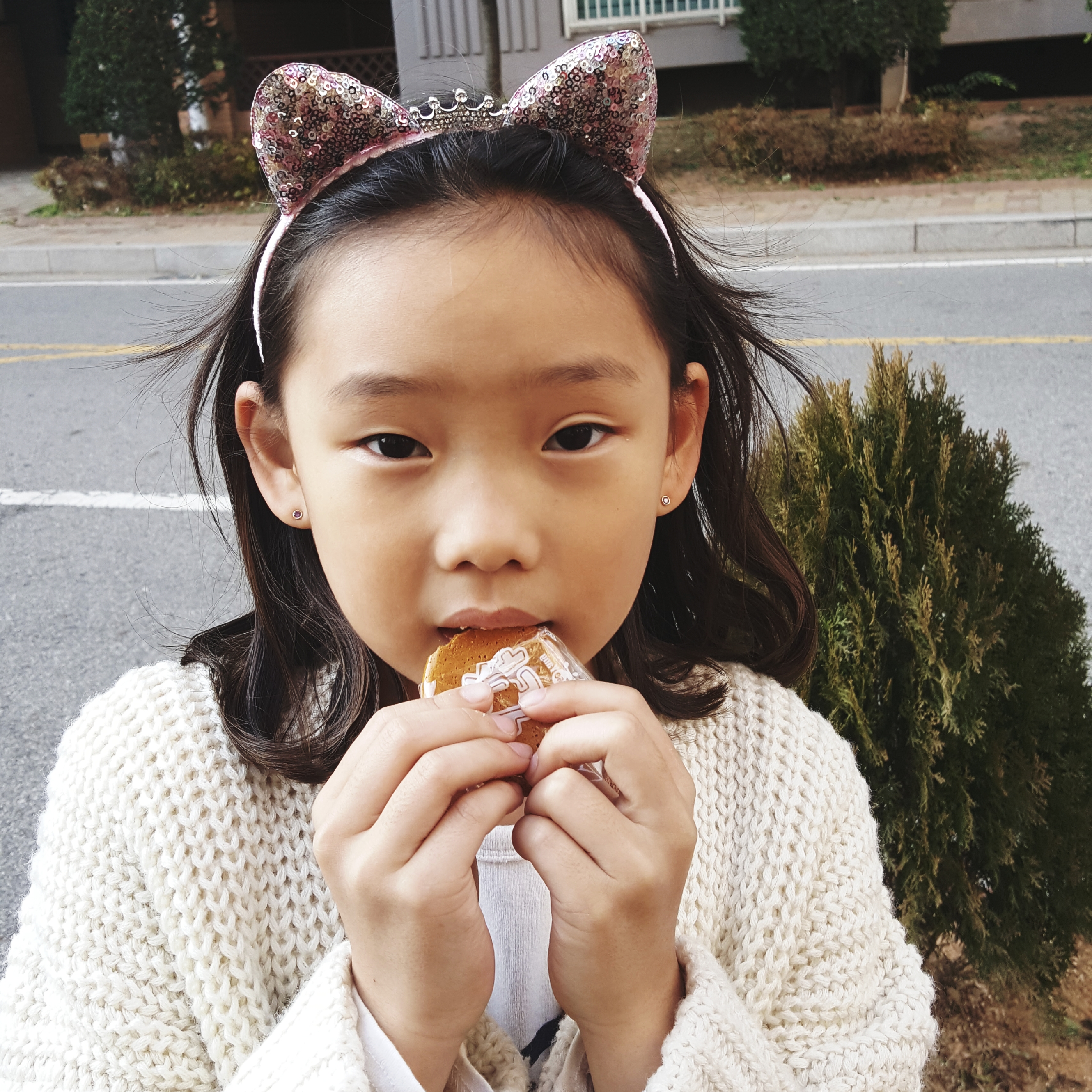 Hair Accessories Sequins Cat Hair Band