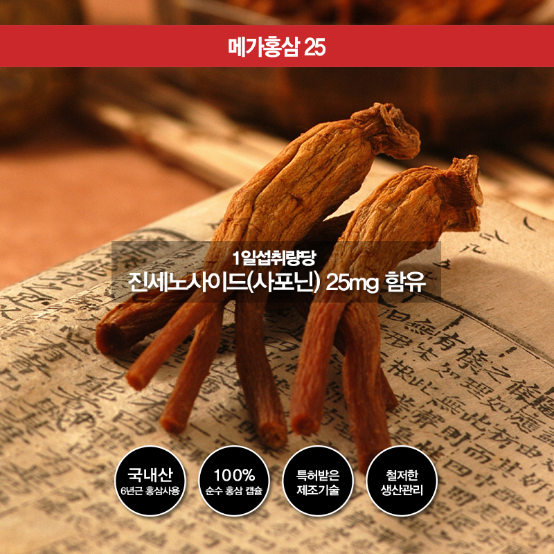 Korea Ginseng Mega Red Ginseng 25 Vitamin Angels H