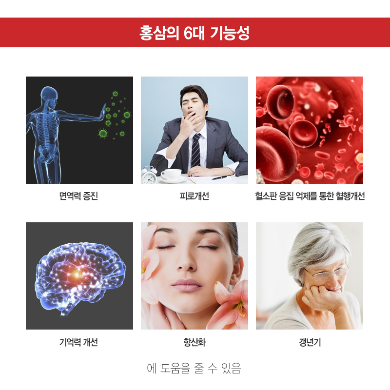 Korea Ginseng Mega Red Ginseng 25 Vitamin Angels H