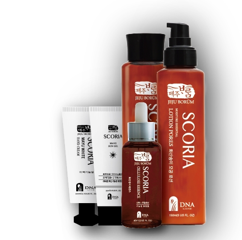 Korea Ginseng D &amp A CK Compound k K red ginseng